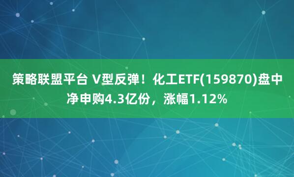 策略联盟平台 V型反弹！化工ETF(159870)盘中净申购4.3亿份，涨幅1.12%