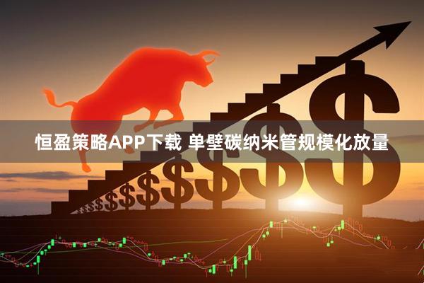 恒盈策略APP下载 单壁碳纳米管规模化放量