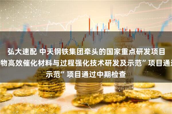 弘大速配 中天钢铁集团牵头的国家重点研发项目“典型污染物高效催化材料与过程强化技术研发及示范”项目通过中期检查